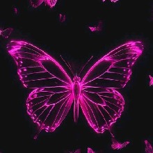 Guest_SoulfireAngelina