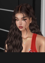 Guest_Stevn4
