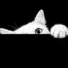 صورة الـavatar