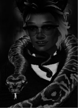 Guest_DB234