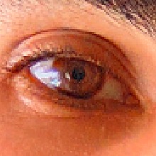 Skricii