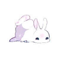 Guest_Miko790642