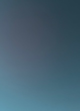 Guest_chico111102
