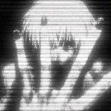 qxnp