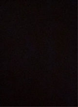 Guest_REISS8