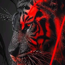 Guest_Jason2124