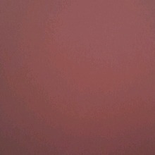 Guest_Juicyknockers