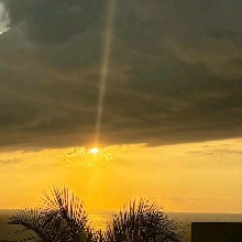 Guest_Katy33