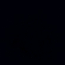 Guest_Daniel512774