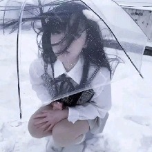 صورة الـavatar
