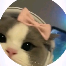 Guest_Naomy15