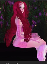 Guest_dets3