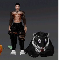 Guest_fuzzywuzzyterrac7c16
