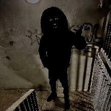 Guest_Zago30