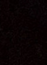 Guest_REISS15