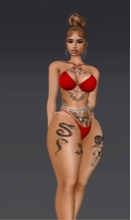 Guest_cindy460238