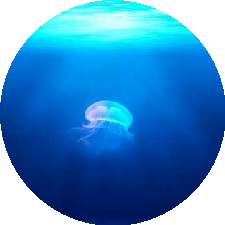 Guest_gI5kvwOdwZvLknjfi4