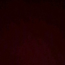 Guest_Carollayne3