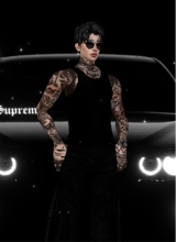 Guest_fernando377225