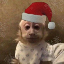 Guest_henriquexzz1