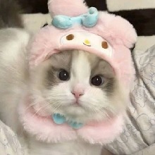 Guest_ItzLisa4