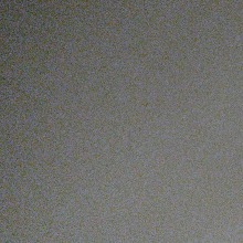 Guest_Camil911608