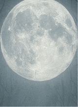 Guest_moonflo