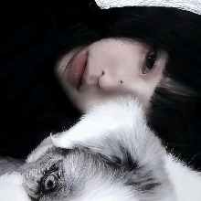 Guest_preciouslavender0b45