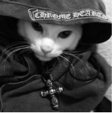 Guest_1Jace1
