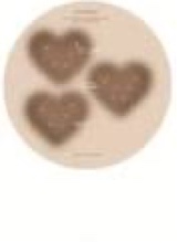Guest_Camila1591