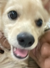 Guest_paolaEmily