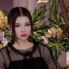 Guest_Dreaaamiifair