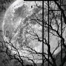 Guest_Lilibeth40