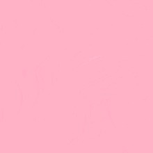 Guest_Ambar367455