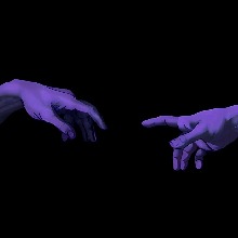 Guest_dogblackcb78