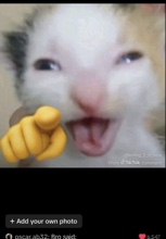 avatarbild
