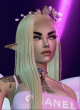 Guest_babybear11
