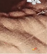 صورة الـavatar