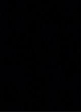 Guest_nour538960