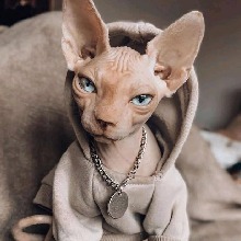 Guest_Lilrabbit4