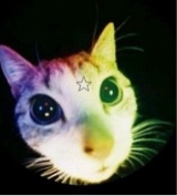صورة الـavatar