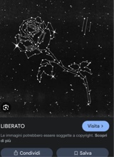 Guest_Ciro535115