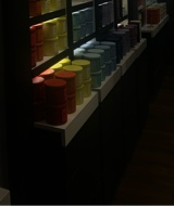 Guest_Laila952300