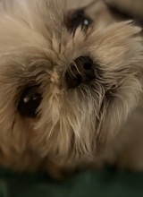 Guest_lazysloth