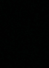 avatarbild