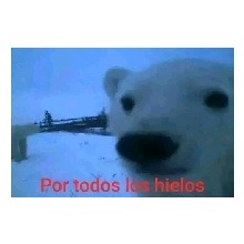 Guest_ElMaestro1