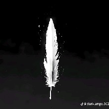 Guest_Rush23