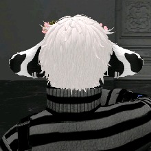 Guest_Xaiden2