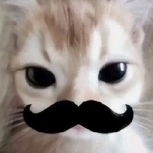 Guest_Gisellehtts
