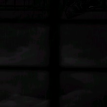 Guest_Francimara4